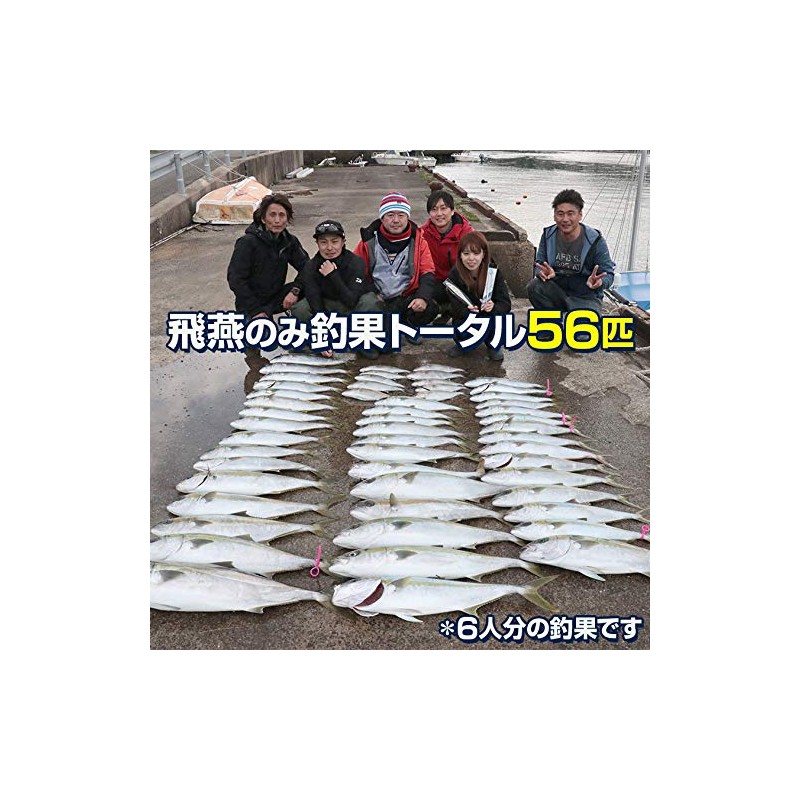 Lure, Metal Jig, 7.4 oz (210 g), Long Yellowtail, Inshore