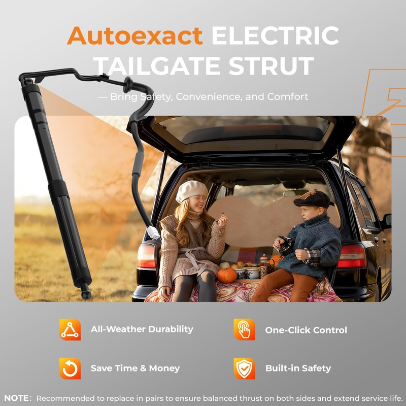 Power Liftgate Struts Compatible with 2013-2018 Toyota RAV4, Left &
