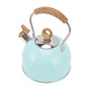 2.5L Whistling Tea Kettle with Handle Stainless Steel Portable Stovetop