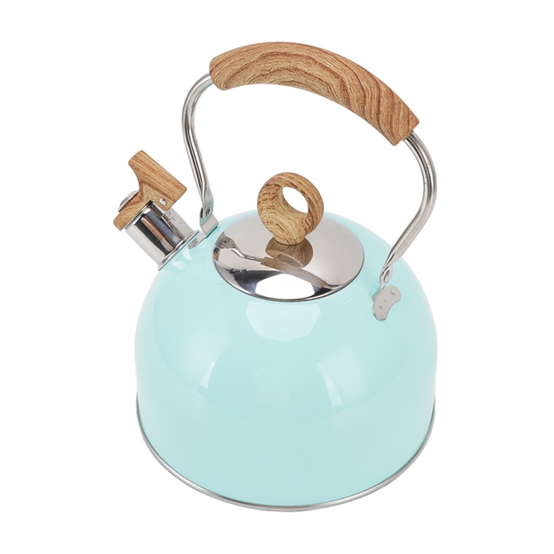 2.5L Whistling Tea Kettle with Handle Stainless Steel Portable Stovetop