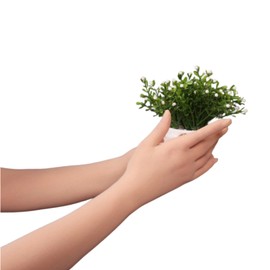 Uccellino Stocking Material, 5 Finger Gloves, 2 Pair Set, Long Gloves, Cosplay, Stage, Unisex, Seamless Fit, Skinny Beige