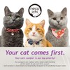 Reversible Wave Cat Scratcher for Indoor Cats - Cat Scratching