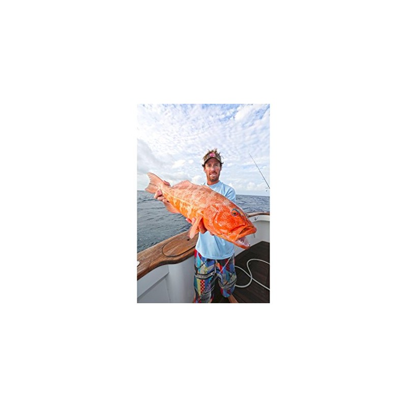 Penn Squall 20 Level Wind Star Drag
