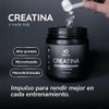 Suplementos Domos Creatina Monohidratada Micronizada 500 Gramos Polvo Alta Pureza