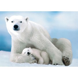 Puzzle for Adults 1000 Pieces Polar Bear and Baby 70 x 50 cm Puzzles for Adults Educational Game Challenge Toy 1000 Pieces Puzzles for Adults Children