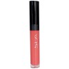 SLA Paris Vinyl Fruity Lip Gloss 5ml (Various Shades), 73