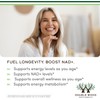 Capsules Nicotinamide Mononucleotide Supplement NAD Plus Support Cellular Energy Healthy