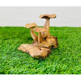 My Square Mile Wooden Mushroom Garden Ornament | Teak Wood For Indoor & Outdoor Use | 10cm x 10cm x 15cm, Hand Carved Garden Sculpture