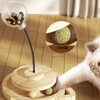 3MNSCD Cat Ball Toy Treat Cats Treat Dispenser with Catnip