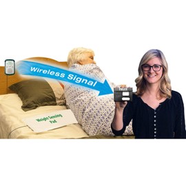Wireless Economy Quiet Fall Alert with 10in x 30in Bed Pad and Caregiver Pager