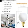 XININSUN Frosted G16.5 globe light bulb,e12 Round Candelabra Bulb 40