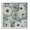 Stupell Industries Abstract Sea Urchins Framed Giclee Art by LSR