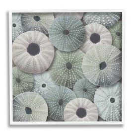 Stupell Industries Abstract Sea Urchins Framed Giclee Art by LSR Design Studio