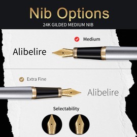 HDDNB Silver Luxury Fountain Pen Sets for Men and Women with Gift Box, 24K Gold Finish and Gilded Nib(Medium) with 5 Black Ink Cartridges and Converter