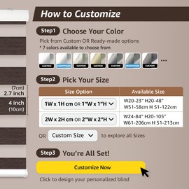 FOIRESOFT Standard Cordless Blackout Zebra Roller Shades and Blinds for Windows [Bonita, White, W 25 x H 64 inch] Dual Layer Sheer Room Darkening Day and Night, 20 to 84 inch Height