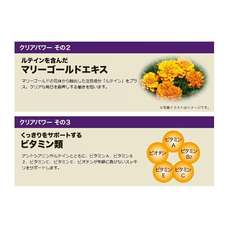 エバーライフ ブルーベリー ＋ ルテイン 30粒 (約1ヶ月分) サプリメント