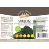 GOLDEN PEANUT Spirulina Algen Pulver 500 g – Spirulinapulver, 100