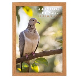 Aryllis A4 Photo Frame, French Oak, Free-standing & Wall Mountable Lightweight Certificate Picture Diploma Frame with Perspex Front