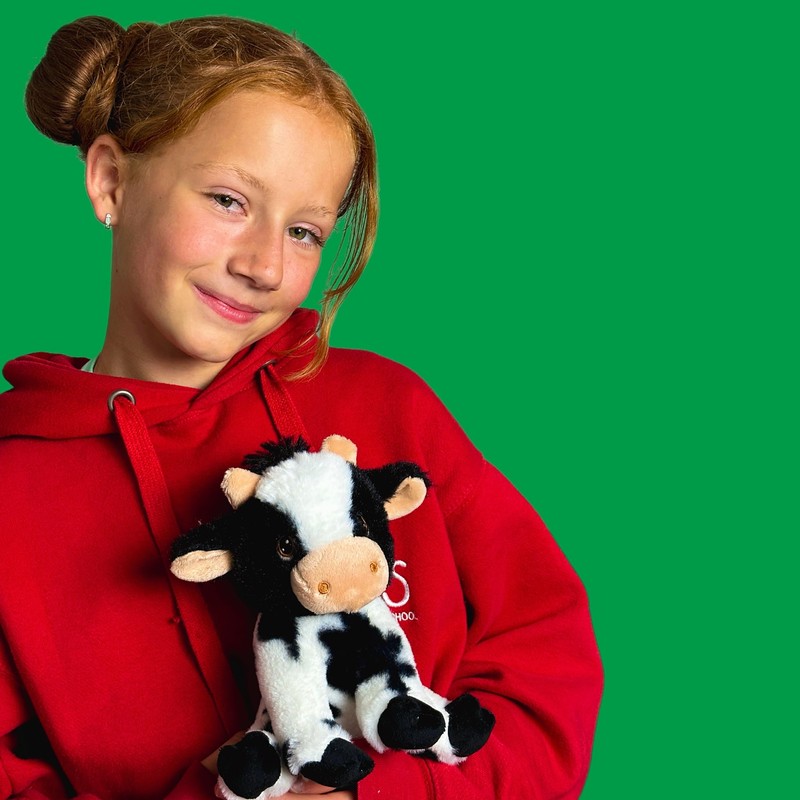 Deluxe Paws Plush Cuddly Soft Eco Toys 100% Recycled (Cow)