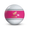 HATACHI Park Golf Hollow 3-Piece Ball Navigation Ball Hatachi Park