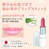 Lipstick 541 Wine (Rupe, Pink Pearl, Made in Japan) [Natural]