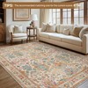 Bavni Area Rug 3x5, Non-Slip Washable Rugs for Living Room