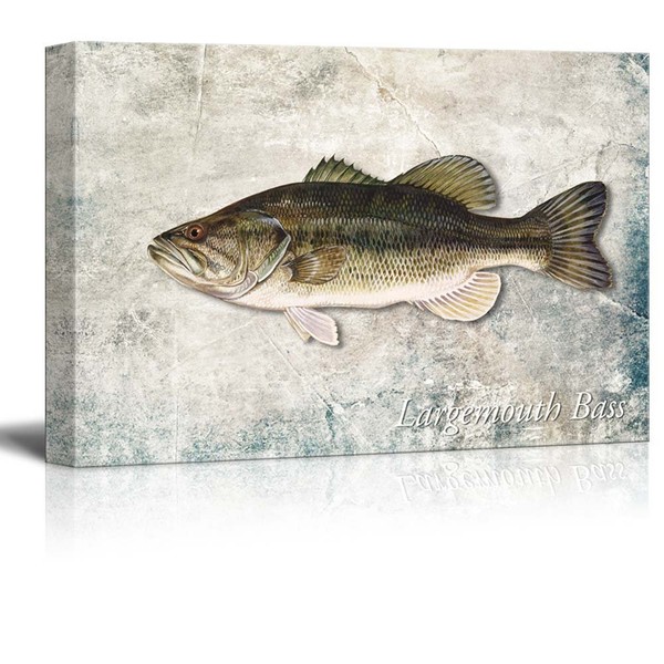 wall26 - Green Largemouth Bass Fish Illustration on a Textured