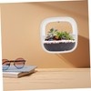 Levemolo Indoor Hanging Planters Wall-Mounted Flower Pots Space-efficient Decor for