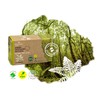 Mussa Canaria Laurisilva Natural Handmade Soap 100g