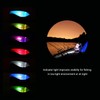 Lixada Fishing Swinger Set Carp Fishing Bite Indicator Swinger Digital