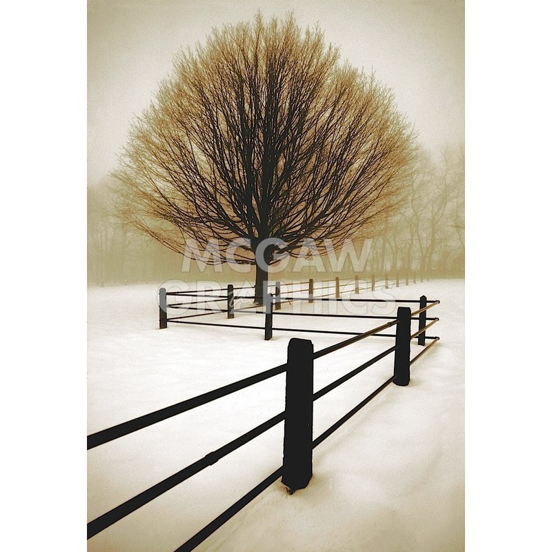 Solitude - Poster by David Lorenz Winston (11 x 14)