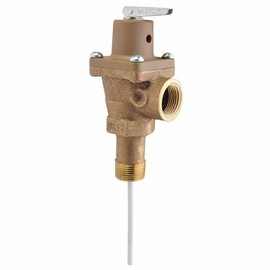 Temperature and Pressure Relief Valve (T&P)