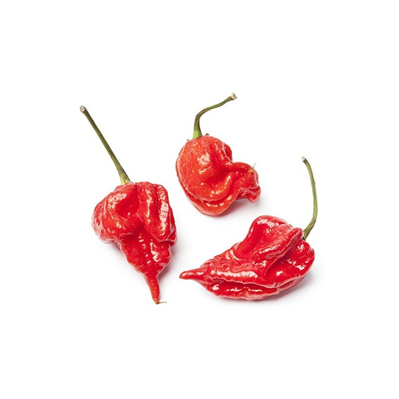 Trinidad Scorpion Pebbles Candy