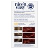 Clairol Nice'n Easy Permanent Hair Dye, 4BG Dark Burgundy Hair