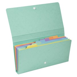 Exacompta 58660E Premium Expanding File Aquarel Made of Extra Strong Colorspan Cardboard for 26 x 13 cm 12 Compartments Elastic Closure Perfect for Storing Your Documents Organiser Folder 1 Piece