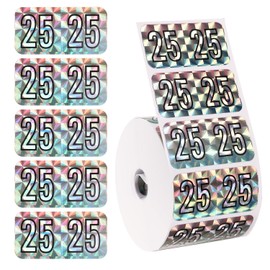 500pcs 2025 Year Stickers, 1.49x0.74 Inch File Folder Year Labels 2025 Holographic Sticker 2025 File Folder Stickers 2025 Foil Stickers for Chart Folder Office Supplies (Pink, Blue)