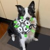 AIXXCUVQ Pet Soccer Ball with Straps Interactive and Fun Durable