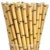ALINK Biodegradable Bamboo Print Paper Drinking Straws for Drinks, Juices,