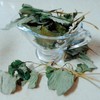 [Houttuynia cordata soothing skin] Sebum acne and red acne /