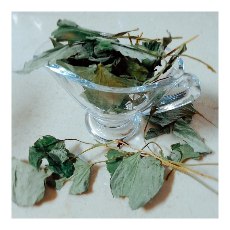 [Houttuynia cordata soothing skin] Sebum acne and red acne /