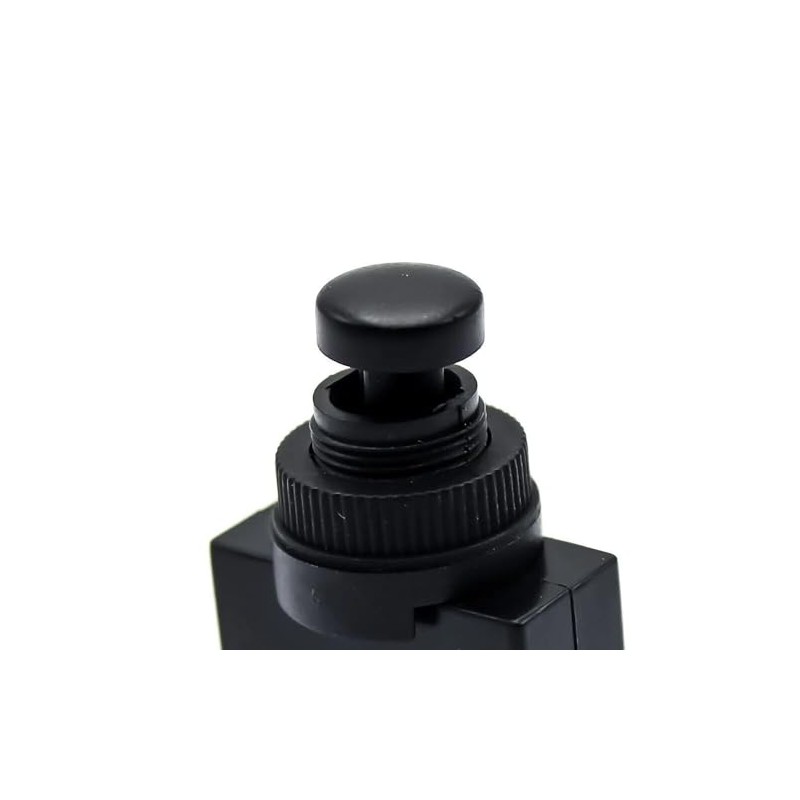 ASW-24 Car Button 20 A 12 V On/Off Spring Return