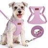 PUPTECK Dog Harness and Leash Set Small Sized, Lightweight Step-in