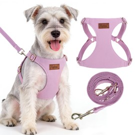 PUPTECK Dog Harness and Leash Set Small Sized, Lightweight Step-in Puppy Harness, Escape Proof No Pull Cute Pet Vest Harnesses, Purple S