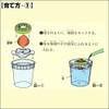 Water Die, C Shaped HYACINTH For (暗箱 with)