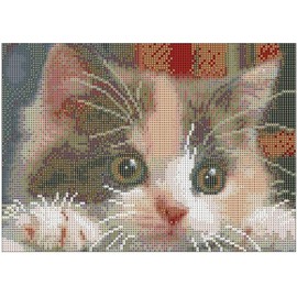 Diamond Painting Kit Cat DIY Diamond Art Kit Kitten for Adults, Lovely Cat, 12"×16"