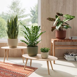 Artevasi Blumentopf Miami 16cm Mokka Braun – Moderner Übertopf aus recyceltem Kunststoff mit Matter Oberfläche – dekorativer Pflanztopf
