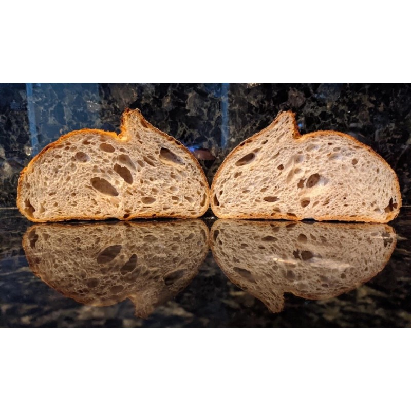 Great Grandmas EASY Sourdough Starter Heritage San Francisco - Live