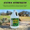 Pickle Juice Sports Drink, 1 Gallon, Extra Strength - Relieves