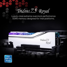 G.SKILL Trident Z5 Royal Series (Intel XMP 3.0) DDR5 RAM 32GB (2x16GB) 6400MT/s CL32-39-39-102 1.40V Desktop Computer Memory UDIMM - Silver (F5-6400J3239G16GX2-TR5S)