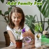 Tyqour 3 Pcs Avocado Tree Growing Kits - Avocado Seed